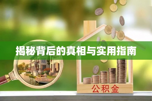 寿光揭秘背后的真相与实用指南