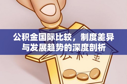 寿光公积金国际比较，制度差异与发展趋势的深度剖析