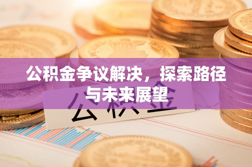寿光公积金争议解决，探索路径与未来展望