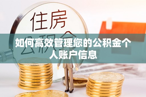 寿光如何高效管理您的公积金个人账户信息