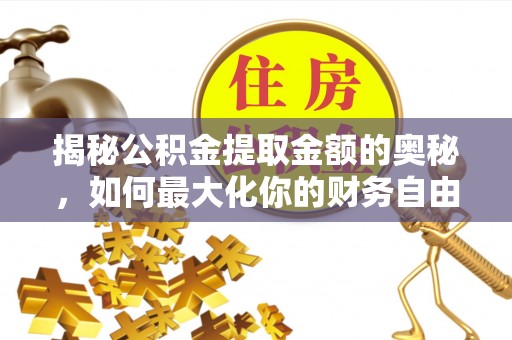 寿光揭秘公积金提取金额的奥秘，如何最大化你的财务自由