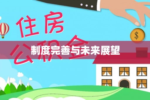 寿光制度完善与未来展望