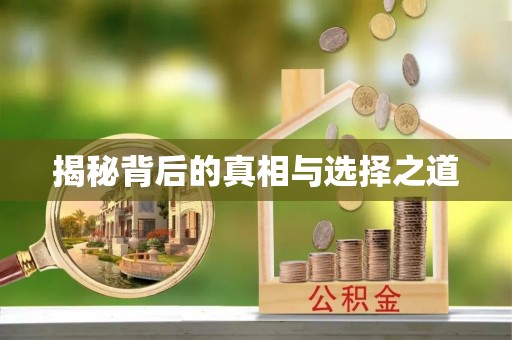 寿光揭秘背后的真相与选择之道
