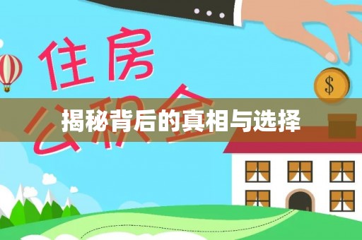 寿光揭秘背后的真相与选择