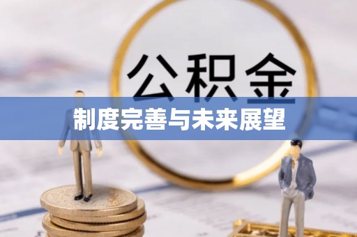 寿光制度完善与未来展望
