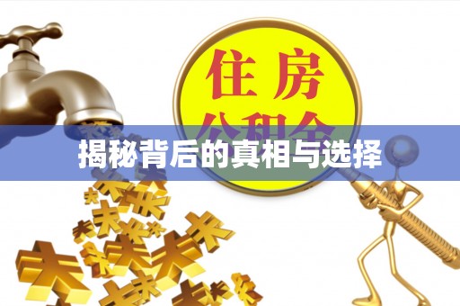 寿光揭秘背后的真相与选择