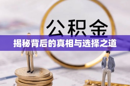 寿光揭秘背后的真相与选择之道