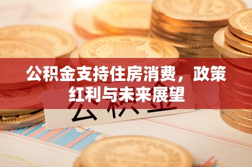 寿光公积金支持住房消费，政策红利与未来展望
