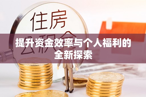 寿光提升资金效率与个人福利的全新探索